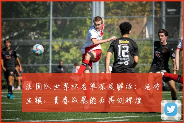 法国队世界杯名单深度解读：老将坐镇，青春风暴能否再创辉煌