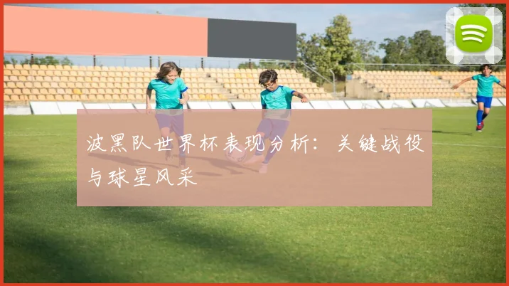 波黑队世界杯表现分析：关键战役与球星风采