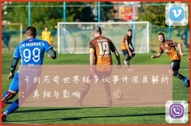 卡利尼奇世界杯争议事件深度解析：真相与影响