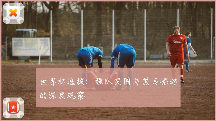 世界杯选拔：强队突围与黑马崛起的深度观察