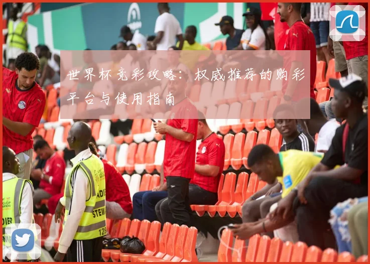 世界杯竞彩攻略：权威推荐的购彩平台与使用指南