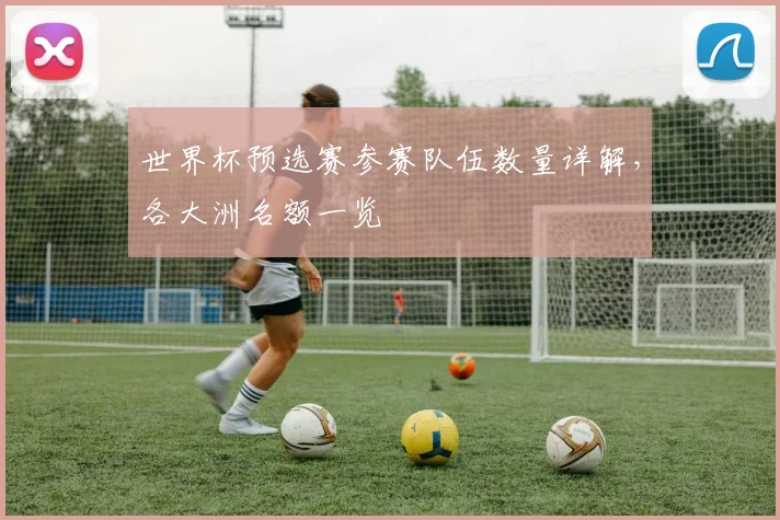 世界杯预选赛参赛队伍数量详解，各大洲名额一览