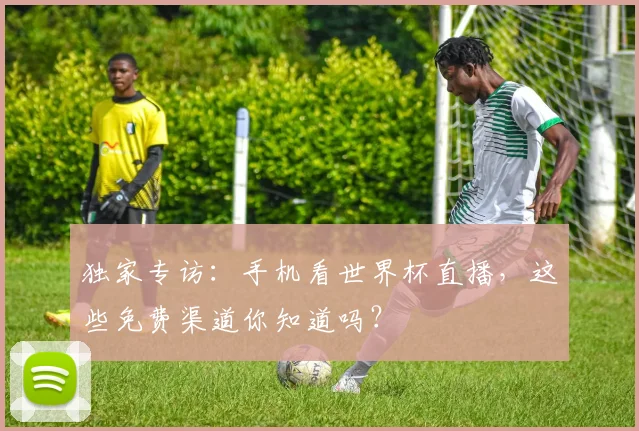 独家专访：手机看世界杯直播，这些免费渠道你知道吗？