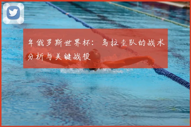 年俄罗斯世界杯：乌拉圭队的战术分析与关键战役