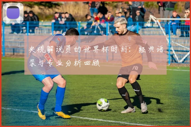 央视解说员的世界杯时刻：经典语录与专业分析回顾