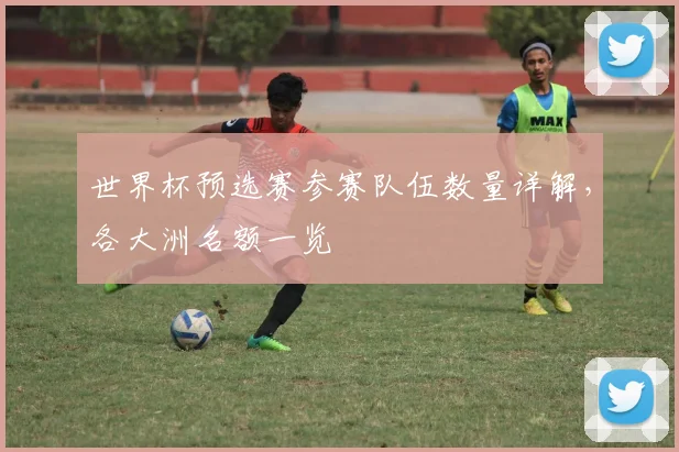 世界杯预选赛参赛队伍数量详解,各大洲名额一览